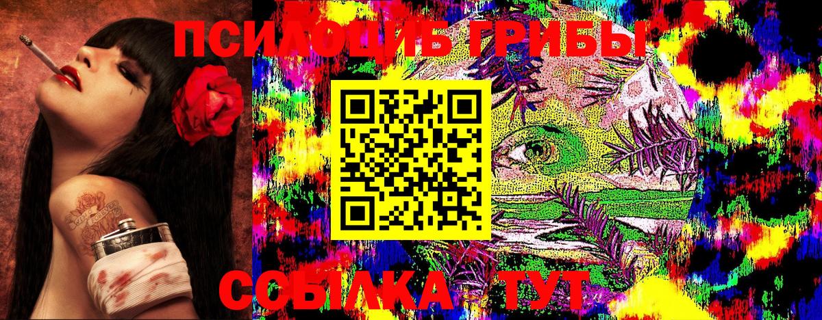Галлюциногенные грибы Magic Shrooms  Вход с VPN  Майский  где купить наркотик  Галлюциногенные грибы мухоморы 